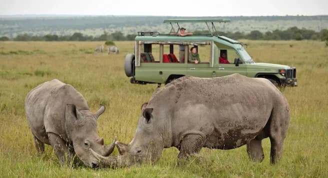 Ol Pejeta Conservancy Safari Package - 4x4 Jeep with Danil Scenic Tours Nairobi - Visit East Africa's largest black rhino sanctuary. Home to the world's last remaining northern white rhinos and a dedicated chimpanzee sanctuary at the foot of Mt. Kenya.