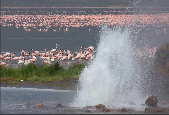 Lake Bogoria National Reserve