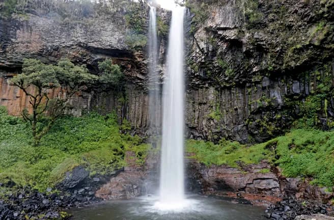 Aberdare National Park